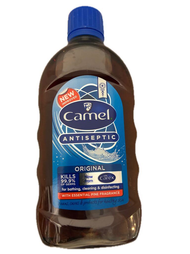Camel