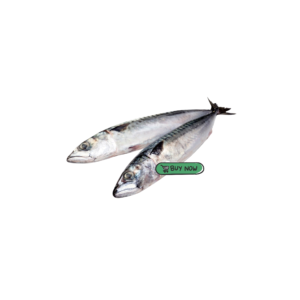 Frozen Mackerel