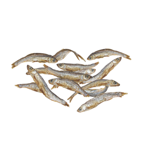Dried stockfish (Steak/Fillets)