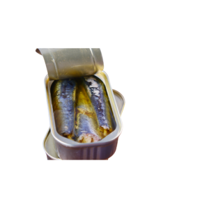 Canned Mackerel