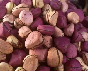 Cola Nuts