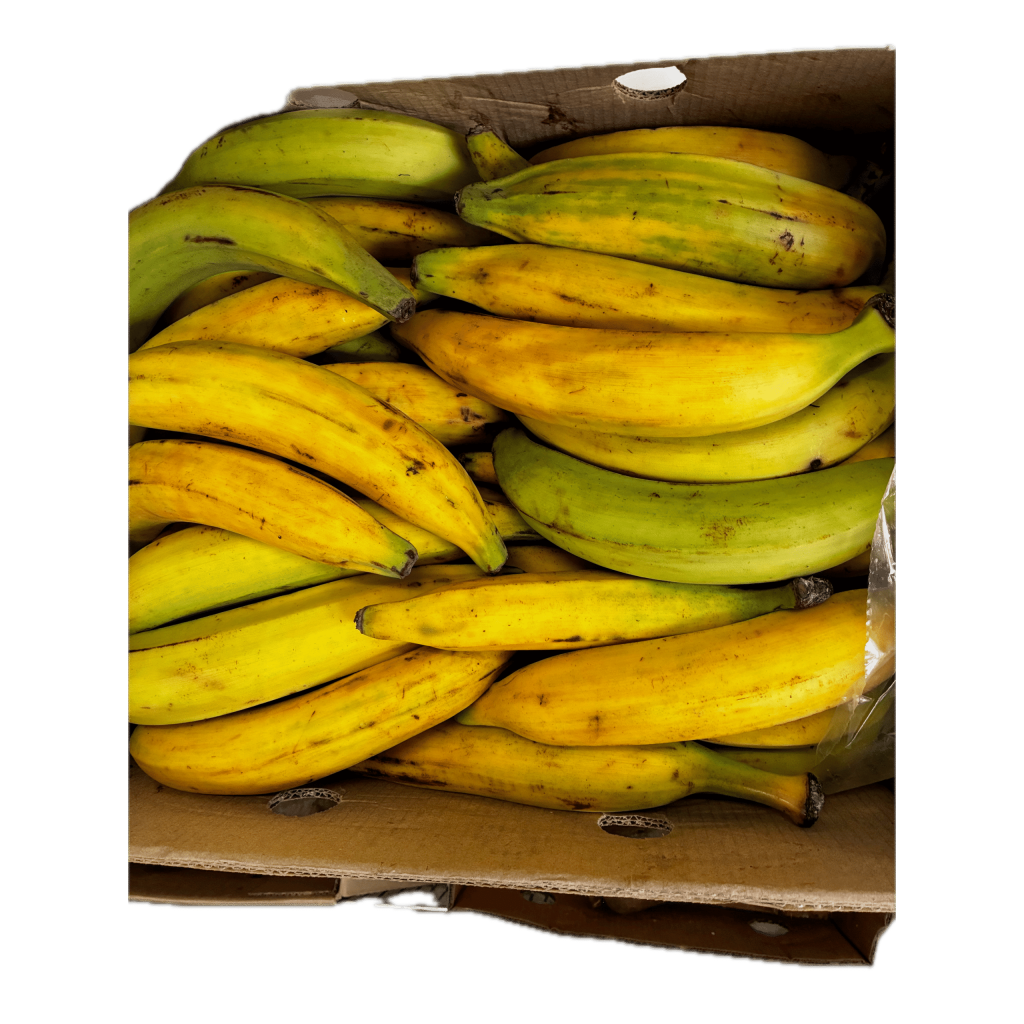 plantain